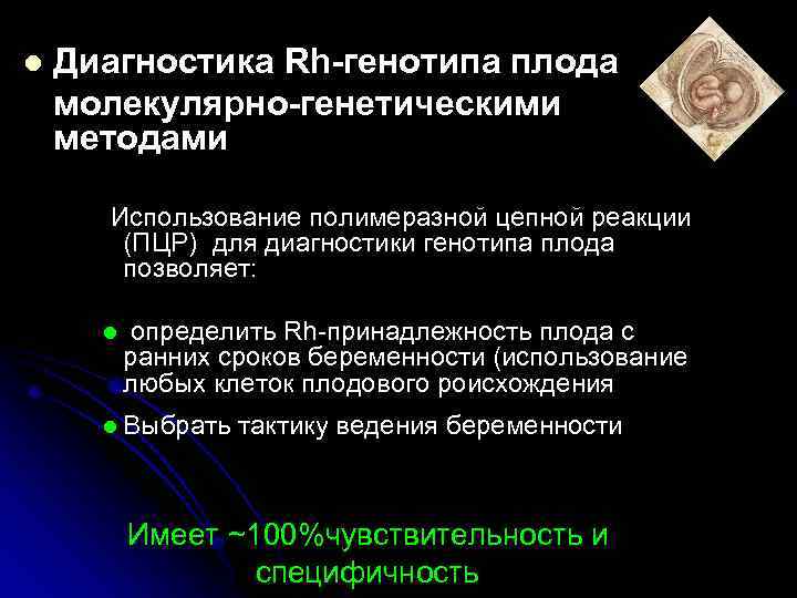 l Диагностика Rh-генотипа плода молекулярно-генетическими методами Использование полимеразной цепной реакции (ПЦР) для диагностики генотипа