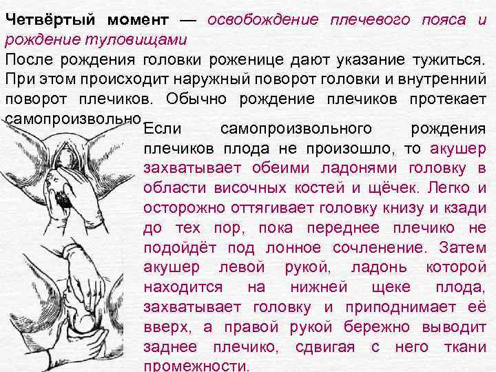 Четвёртый момент — освобождение плечевого пояса и рождение туловищами После рождения головки роженице дают