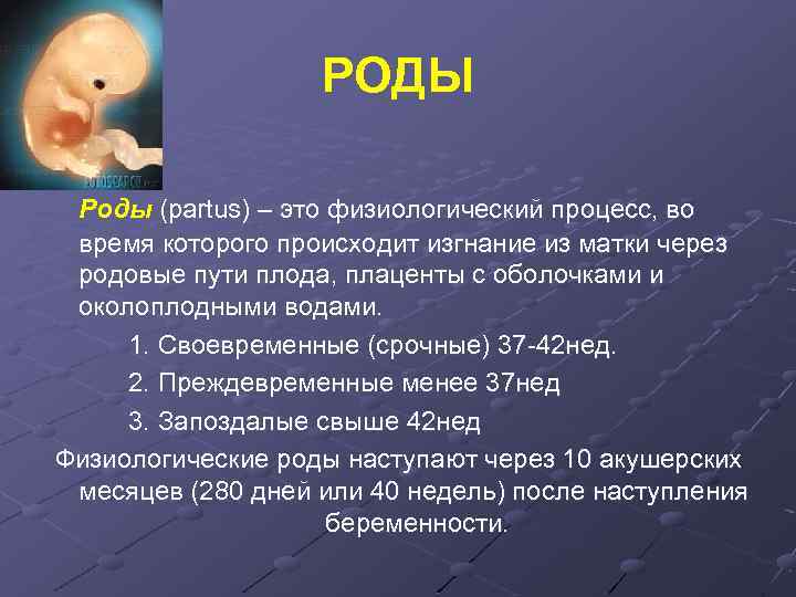 РОДЫ Роды (partus) – это физиологический процесс, во время которого происходит изгнание из матки