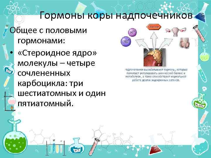 Гормоны коры надпочечников Общее с половыми гормонами: • «Стероидное ядро» молекулы – четыре сочлененных