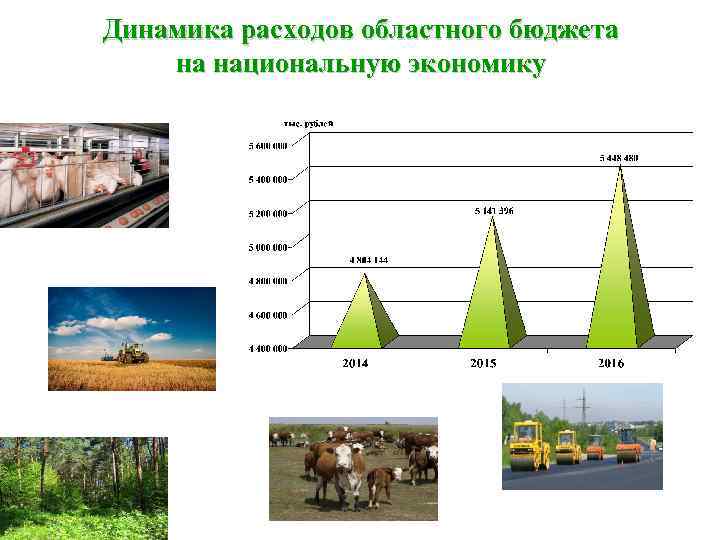 Динамика расходов областного бюджета на национальную экономику 