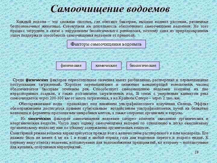 Самоочищение водоемов Каждый водоем – это сложная система, где обитают бактерии, высшие водные растения,