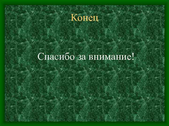 Конец Спасибо за внимание! 
