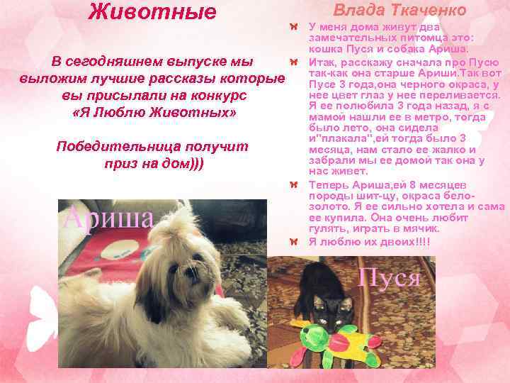 Животные В сегодняшнем выпуске мы выложим лучшие рассказы которые вы присылали на конкурс «Я