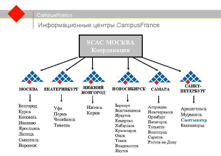 Campus. France Информационные центры Campus. France SCAC МОСКВА Координация МОСКВА Белгород Курск Коломна Иваново