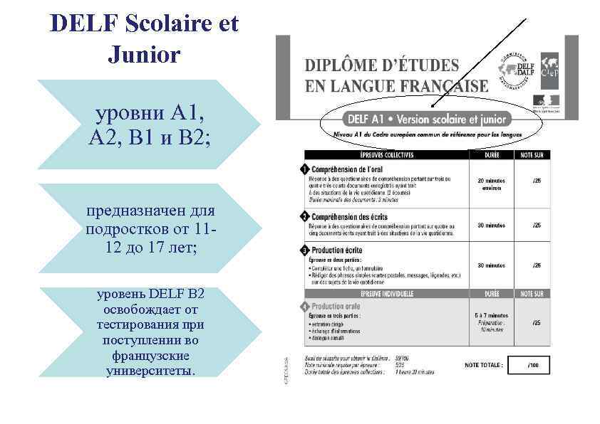 DELF Scolaire et Junior уровни A 1, A 2, B 1 и B 2;