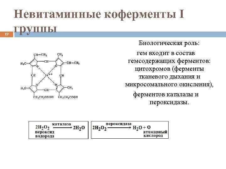 Окислительные ферменты на кристах