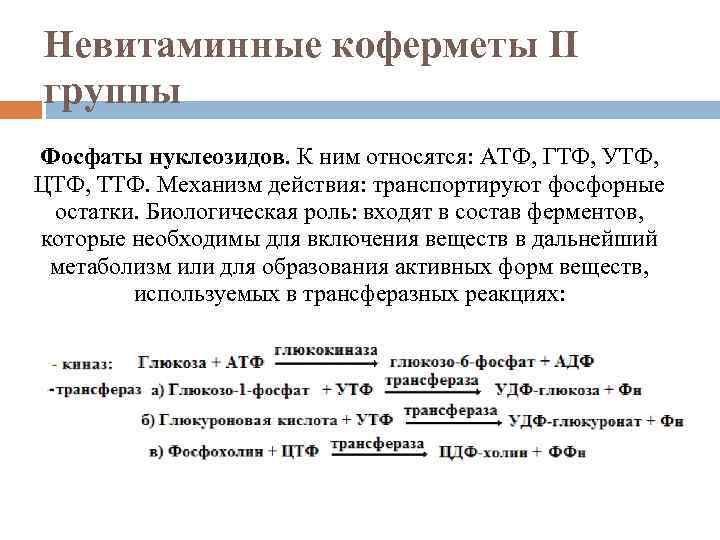 Невитаминные коферметы II группы Фосфаты нуклеозидов. К ним относятся: АТФ, ГТФ, УТФ, ЦТФ, ТТФ.