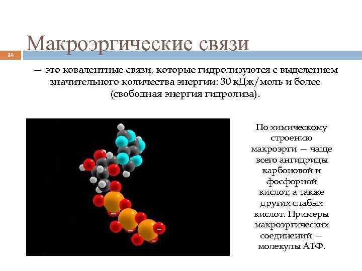 Характеристика макроэргической связи