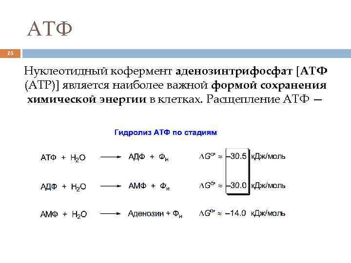 Реакция атф. Схема гидролитического расщепления АТФ В организме:. Схему реакции гидролитического расщепления АТФ. Гидролитическое расщепление АТФ до АДФ. Гидролиз АТФ формула.