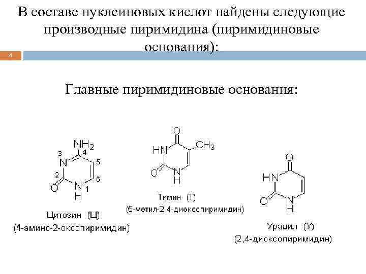 Производные пиримидина