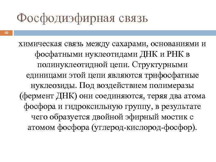 40 связь. Фосфодиэфирная связь. Фосфодиэфирная связь между. Фосфодиэфирный остов. Фосфодиэфирная связь образуется между.