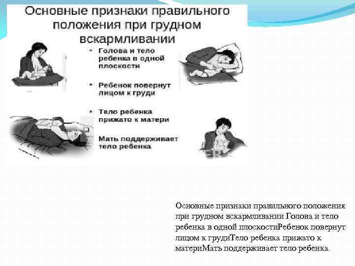 Основные признаки правильного положения при грудном вскармливании Голова и тело ребенка в одной плоскости.