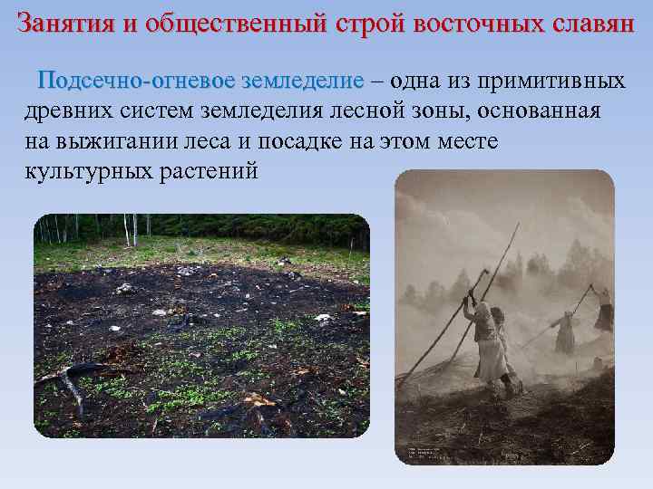 Занятия и общественный строй восточных славян Подсечно-огневое земледелие – одна из примитивных Подсечно-огневое земледелие
