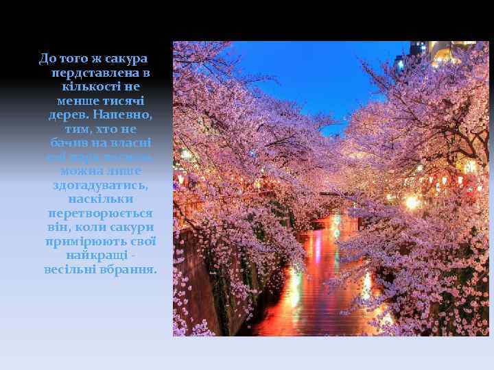 До того ж сакура пердставлена в кількості не менше тисячі дерев. Напевно, тим, хто