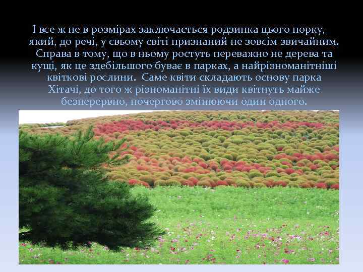 І все ж не в розмірах заключається родзинка цього порку, який, до речі, у