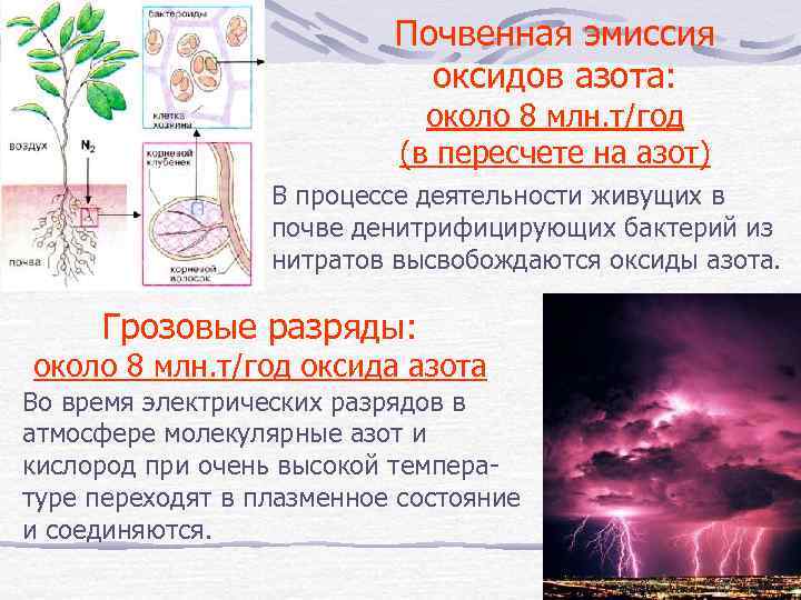 Почвенная эмиссия оксидов азота: около 8 млн. т/год (в пересчете на азот) В процессе