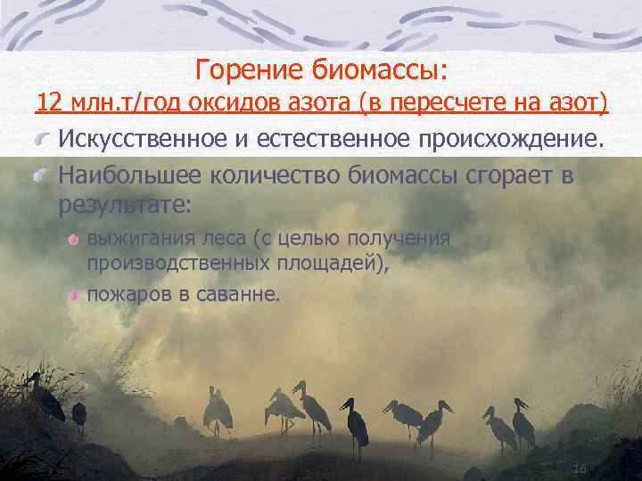 Горение биомассы: 12 млн. т/год оксидов азота (в пересчете на азот) Искусственное и естественное