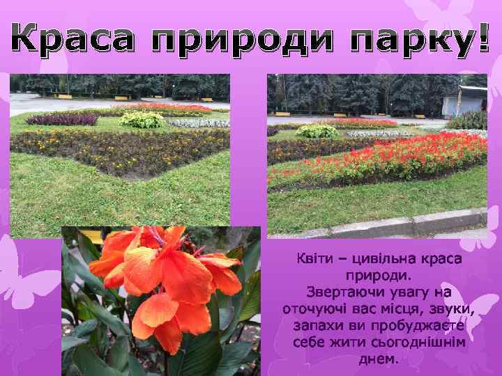 Краса природи парку! Квіти – цивільна краса природи. Звертаючи увагу на оточуючі вас місця,