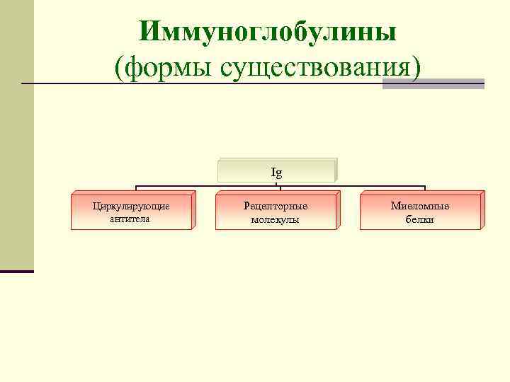 Иммуноглобулины (формы существования) Ig Циркулирующие антитела Рецепторные молекулы Миеломные белки 