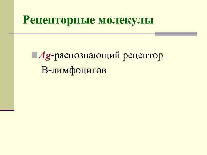 Рецепторные молекулы n Ag-распознающий рецептор В-лимфоцитов 