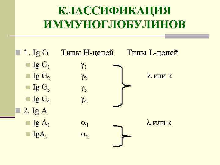 КЛАССИФИКАЦИЯ ИММУНОГЛОБУЛИНОВ n 1. Ig G n Ig G 1 n Ig G 2