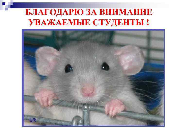 БЛАГОДАРЮ ЗА ВНИМАНИЕ УВАЖАЕМЫЕ СТУДЕНТЫ ! 