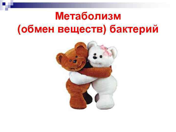 Метаболизм (обмен веществ) бактерий 