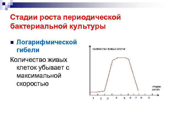 Стадии роста периодической бактериальной культуры Логарифмической гибели Количество живых клеток убывает с максимальной скоростью