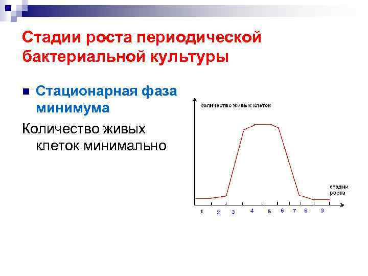 Стадии роста периодической бактериальной культуры Стационарная фаза минимума Количество живых клеток минимально n 