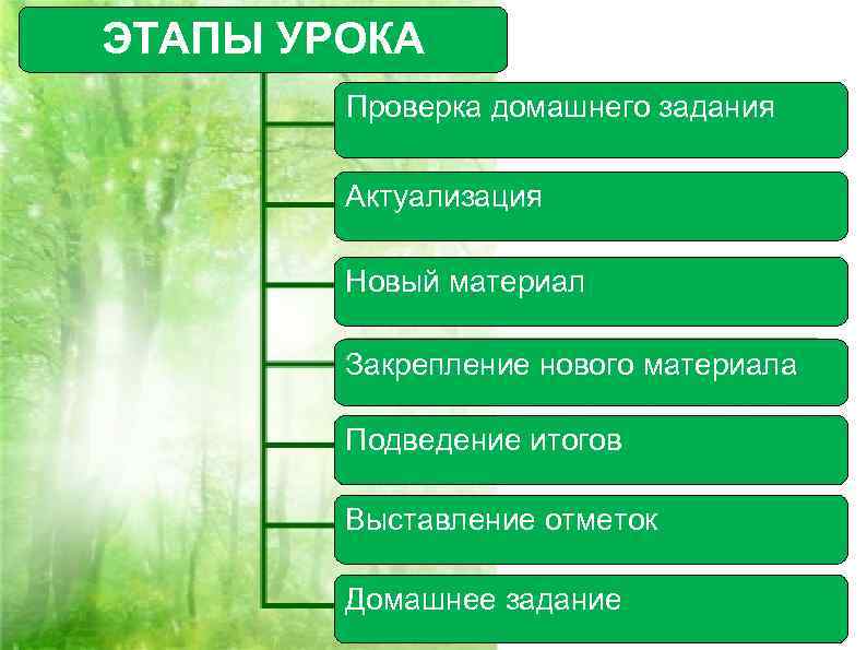 ЭТАПЫ УРОКА Проверка домашнего задания Актуализация Новый материал Закрепление нового материала Подведение итогов Выставление