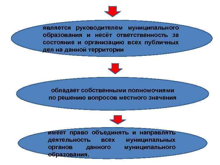 является руководителем муниципального образования и несёт ответственность за состояние и организацию всех публичных дел