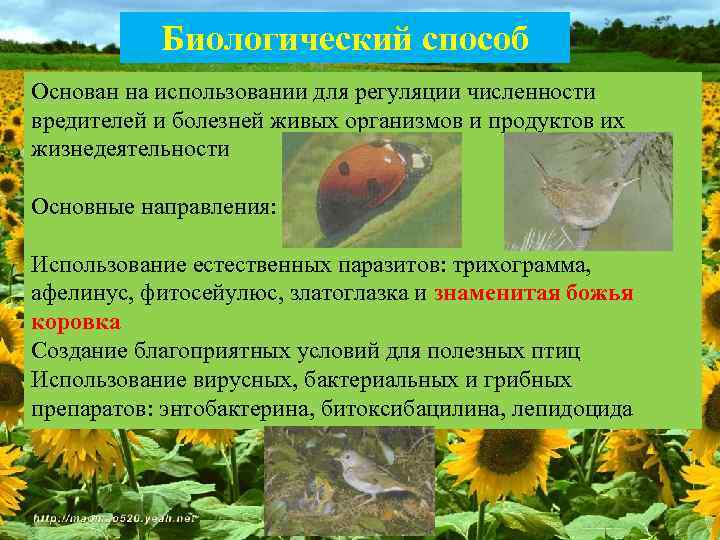 Биологический способ Основан на использовании для регуляции численности вредителей и болезней живых организмов и