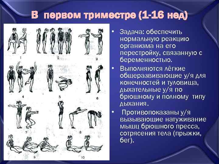 В первом триместре (1 -16 нед) • Задача: обеспечить нормальную реакцию организма на его