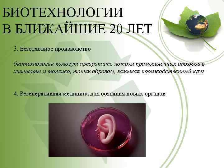 БИОТЕХНОЛОГИИ В БЛИЖАЙШИЕ 20 ЛЕТ 3. Безотходное производство биотехнологии помогут превратить потоки промышленных отходов