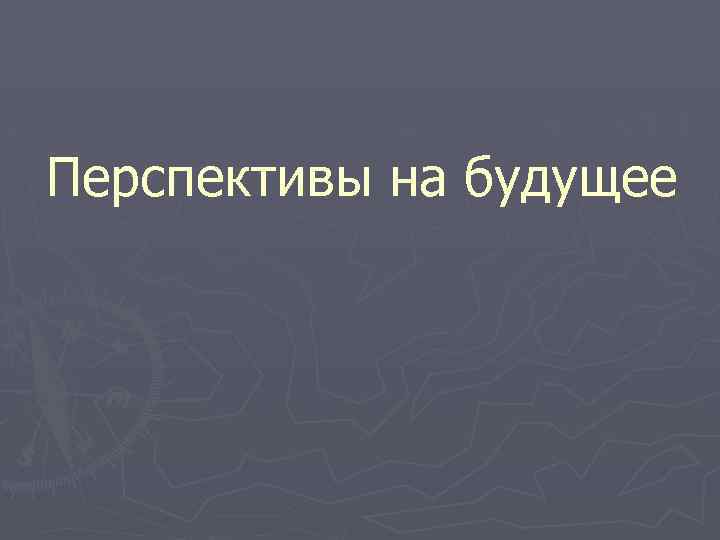 Перспективы на будущее 