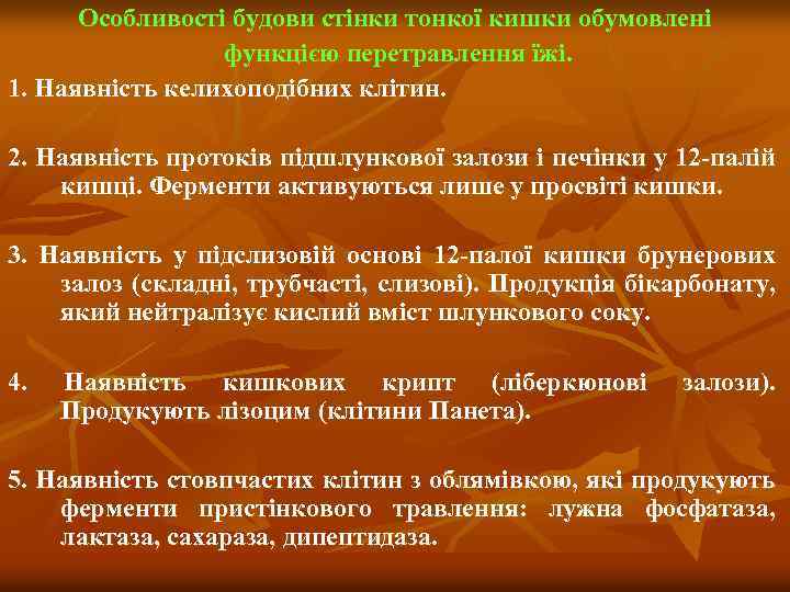 Особливості будови стінки тонкої кишки обумовлені функцією перетравлення їжі. 1. Наявність келихоподібних клітин. 2.