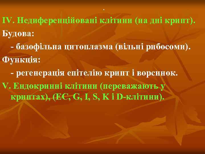 . ІV. Недиференційовані клітини (на дні крипт). Будова: - базофільна цитоплазма (вільні рибосоми). Функція: