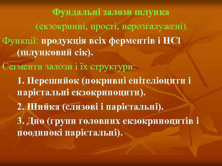 Фундальні залози шлунка (екзокринні, прості, нерозгалужені). Функції: продукція всіх ферментів і HCl (шлунковий сік).