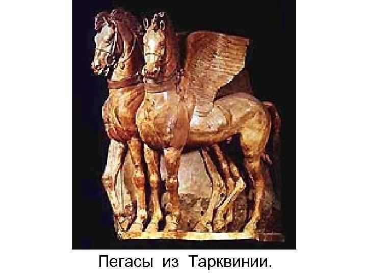 Пегасы из Тарквинии. 