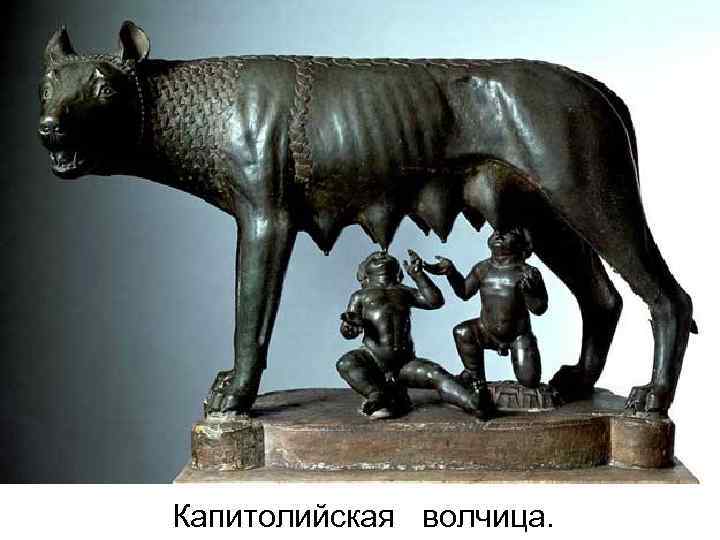 Капитолийская волчица. 