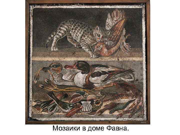 Мозаики в доме Фавна. 