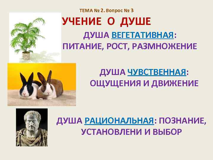 ТЕМА № 2. Вопрос № 3 УЧЕНИЕ О ДУШЕ ДУША ВЕГЕТАТИВНАЯ: ПИТАНИЕ, РОСТ, РАЗМНОЖЕНИЕ