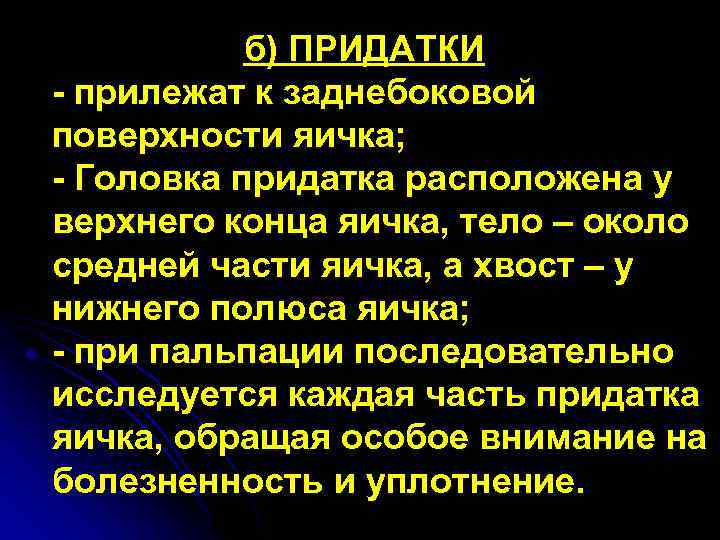 б) ПРИДАТКИ - прилежат к заднебоковой поверхности яичка; - Головка придатка расположена у верхнего