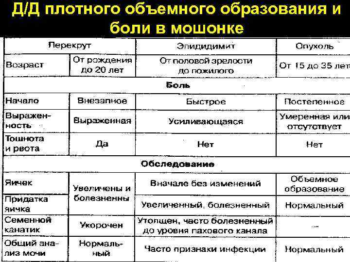Д/Д плотного объемного образования и боли в мошонке 