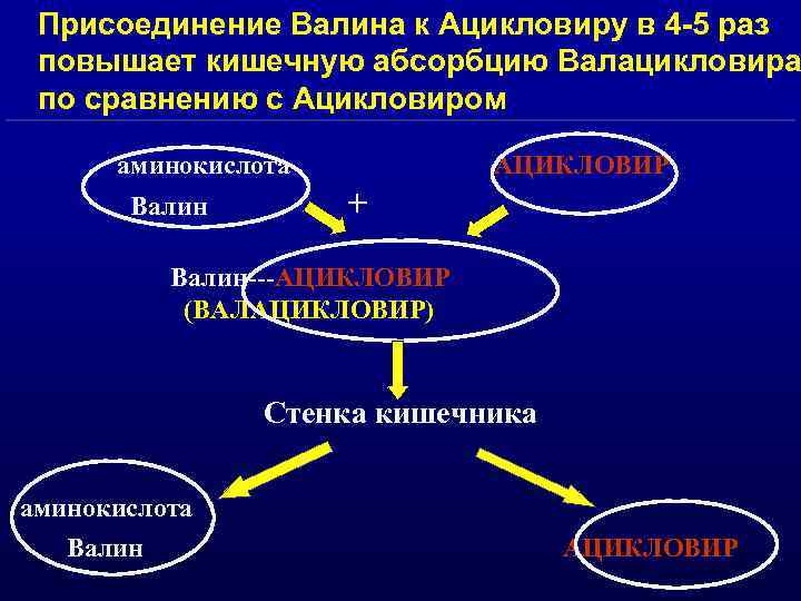 Присоединение Валина к Ацикловиру в 4 -5 раз повышает кишечную абсорбцию Валацикловира по сравнению