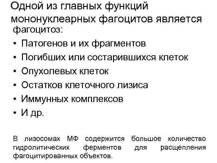 Одной из главных функций мононуклеарных фагоцитов является фагоцитоз: • Патогенов и их фрагментов •