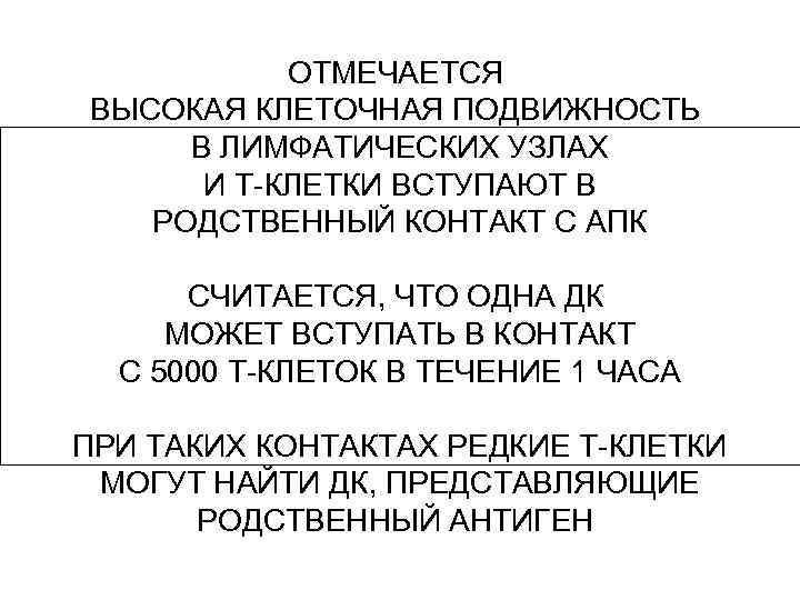 ОТМЕЧАЕТСЯ ВЫСОКАЯ КЛЕТОЧНАЯ ПОДВИЖНОСТЬ В ЛИМФАТИЧЕСКИХ УЗЛАХ И Т-КЛЕТКИ ВСТУПАЮТ В РОДСТВЕННЫЙ КОНТАКТ С