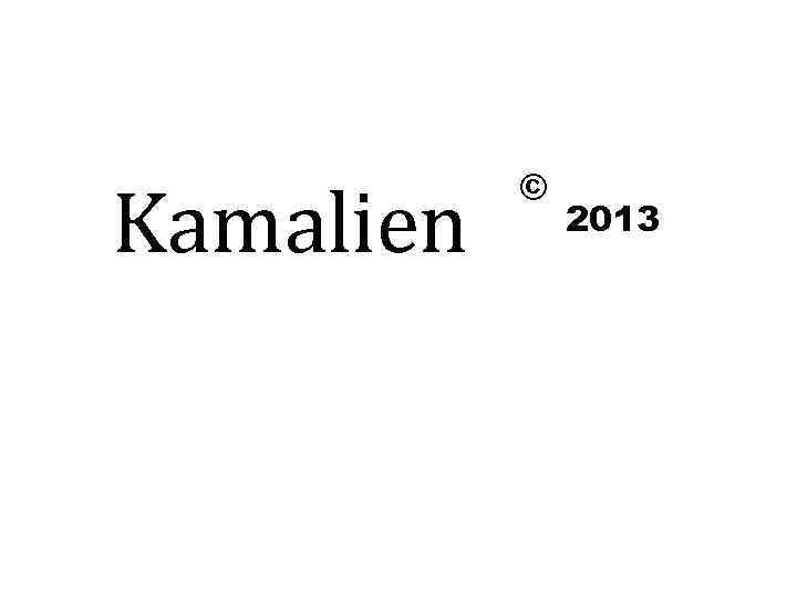 Kamalien © 2013 