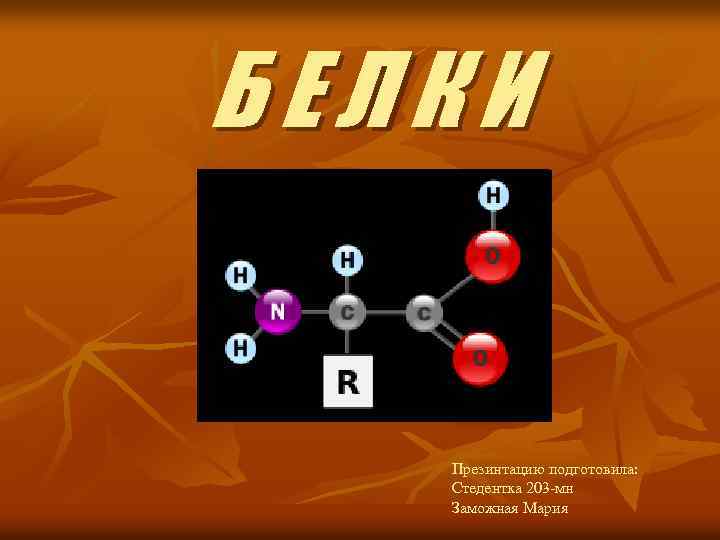 БЕЛКИ Презинтацию подготовила: Стедентка 203 -мн Заможная Мария 